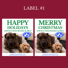 Load image into Gallery viewer, Humane Society/CHV Jolly Paw-liday Packages - 6 x Rosé Wine