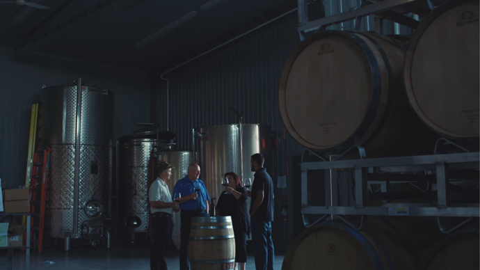 Discover our Wines