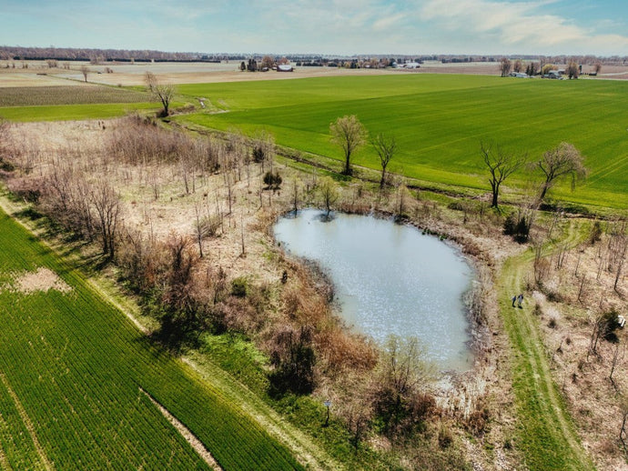 Explore the Beauty of Nature at Cooper’s Hawk Vineyards: Introducing the Hawk Trail🌳